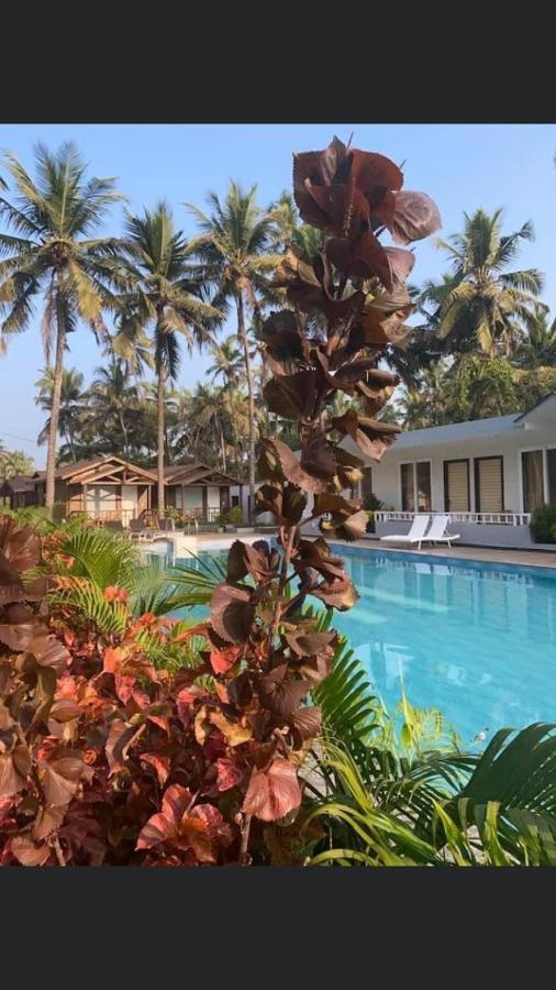 Golden Sands Resort, Morjim Exteriér fotografie