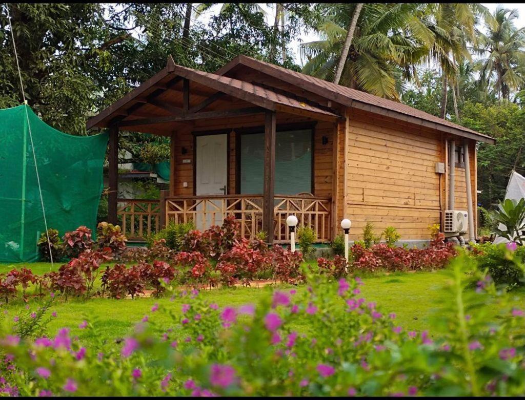 Golden Sands Resort, Morjim Exteriér fotografie